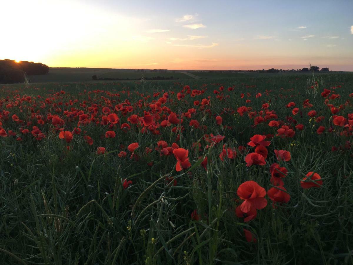Coury House, Chavasse Farm, Somme Villa Hardecourt-aux-Bois Buitenkant foto